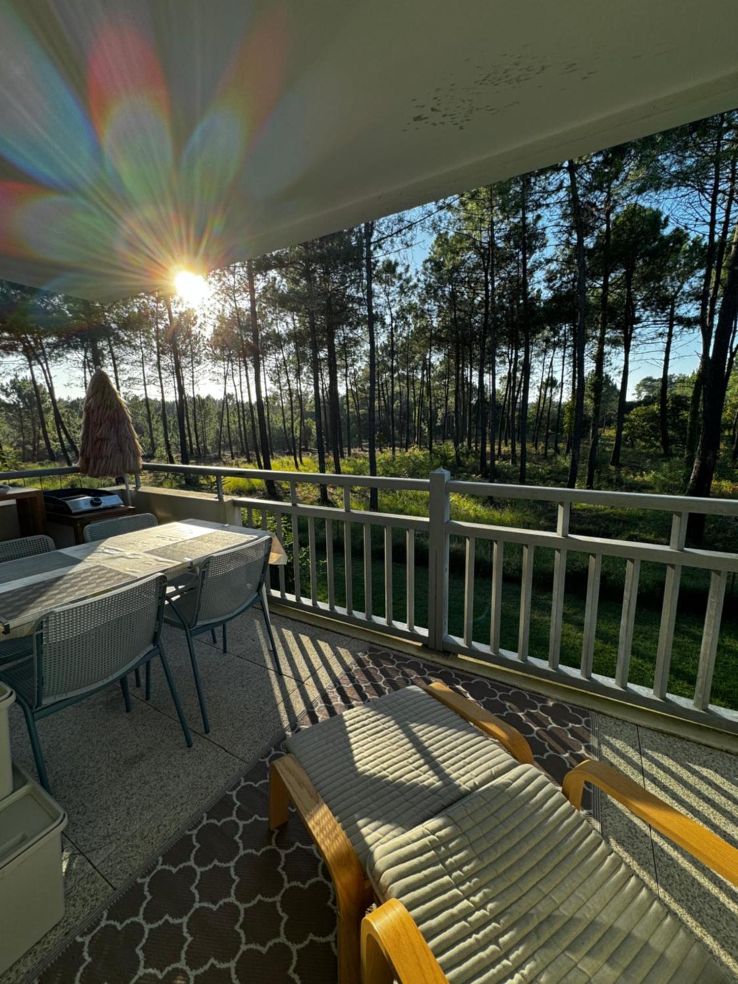 La Foret Des Pins - Free Check-In - Wifi - Parking Prive - Netflix - Draps & Serviettes Inclus Labenne Exterior photo